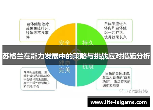 苏格兰在能力发展中的策略与挑战应对措施分析