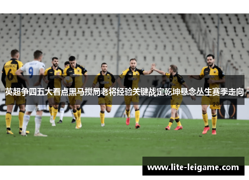 英超争四五大看点黑马搅局老将经验关键战定乾坤悬念丛生赛季走向 英超争四五大看点黑马搅局老将经验关键战定乾坤悬念丛生赛季走向